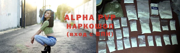 крисы Абаза