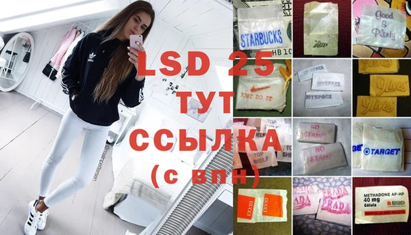 крисы Абаза