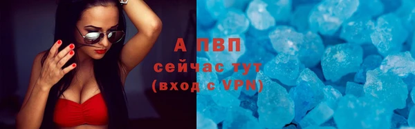 дживик Переславль-Залесский