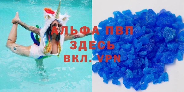 крисы Абаза