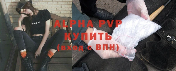 крисы Абаза