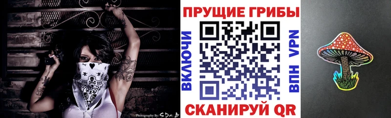 OMG как войти  Дмитровск  Псилоцибиновые грибы GOLDEN TEACHER 